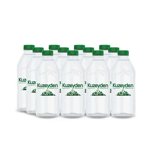 Kuzeyden Premium Doğal Mineralli Su 12 x 400 ml
