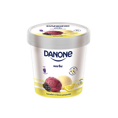 Danone Sorbe Karadut & Limon Parçacıklı