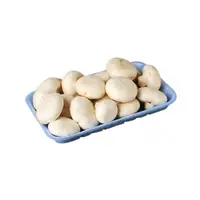 Mantar Izgara Paket 500 Gr