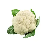 Karnabahar - 2 Kg.