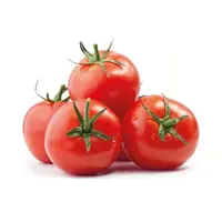 Domates - 500 Gr.