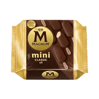 Magnum Mini 5'li Classic 288 ml