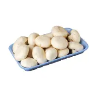 Mantar Paket 400 Gr