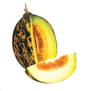 Kavun Kırkağaç - 5 Kg.