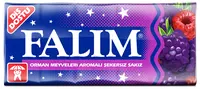 Falım Orman Meyveleri Aromalı Şekersiz Sakız 5'li