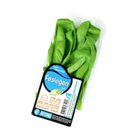 Manav Erüst Taze Fesleğen 25 Gr