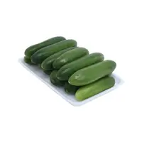 Manav Erüst Atıştırmalık Hıyar 250 Gr