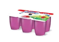 Danino Meyveli Yoğurt Orman Meyveli 6x35 Gr