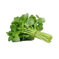 Semiz Otu Demet
