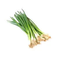 Yeşil Soğan 250 G