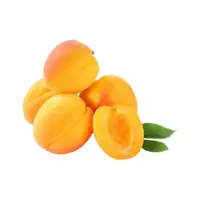Iğdır Kayısı 1 Kg