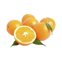 Valensiya Portakal 1 Kg