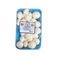Safkar Mantar Paket 400 Gr