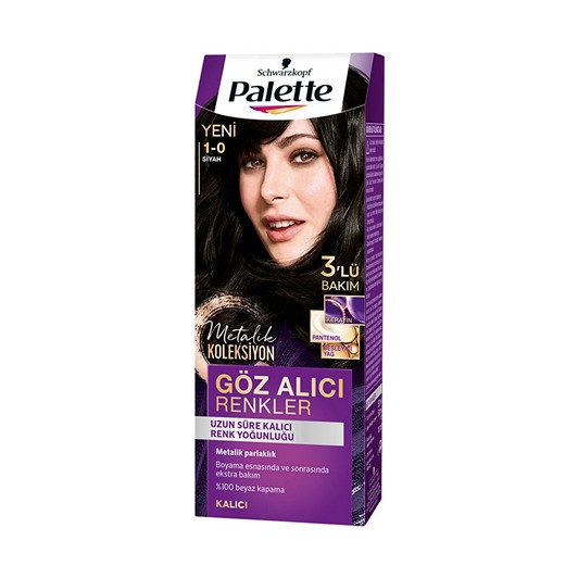 Palette Göz Alıcı Renkler 1.0 Siyah 110 ml