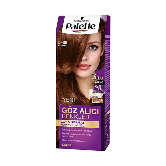 Palette Göz Alıcı Renkler 6.68 Kestane 110 ml