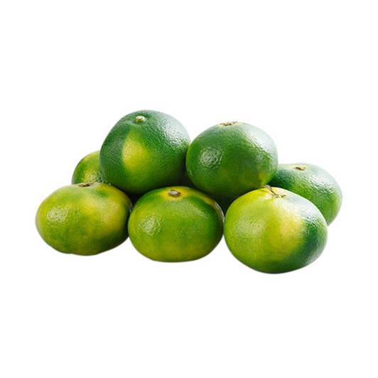 Mandalina kg
