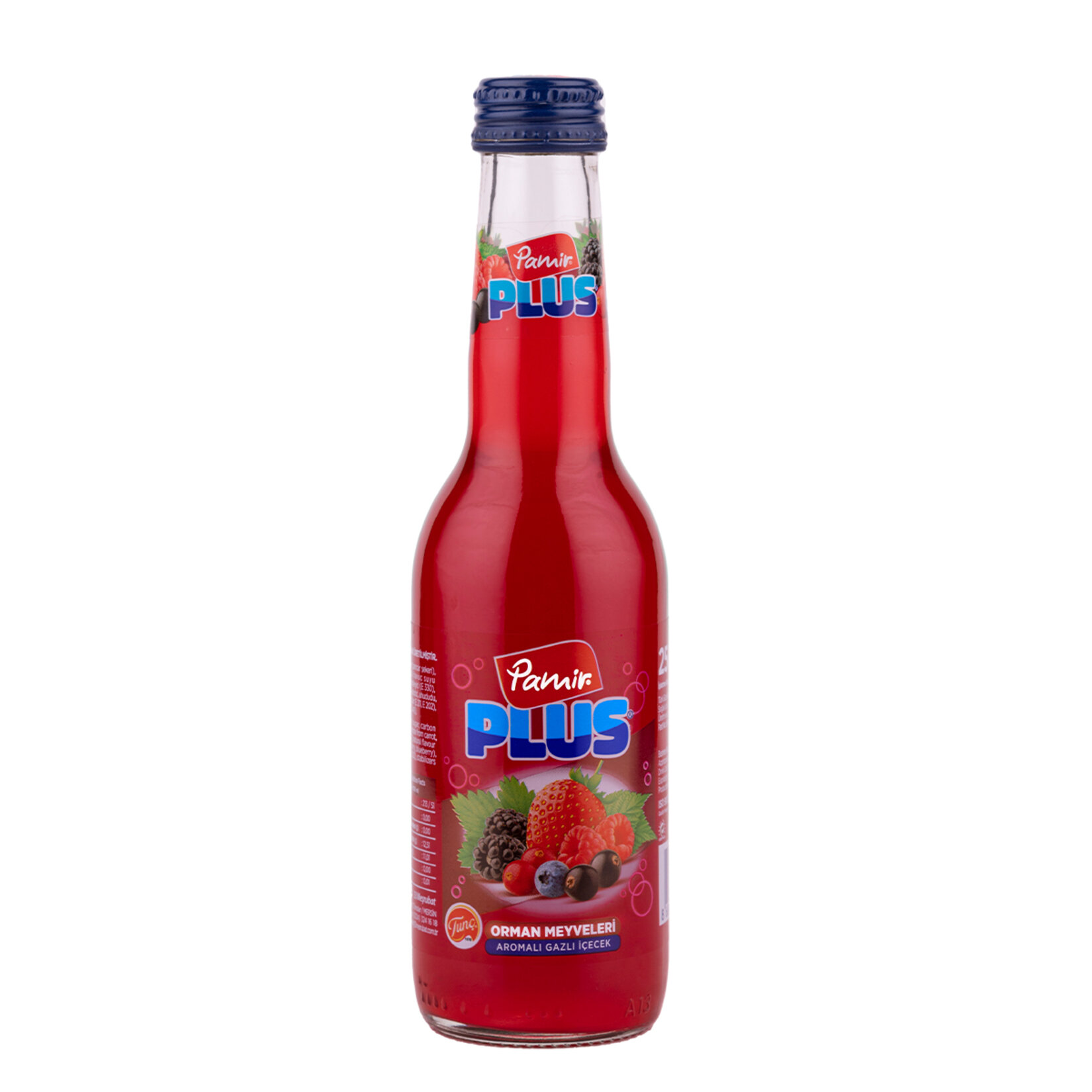 Pamir Plus Orman Meyveleri Gazlı İçecek 250 Ml