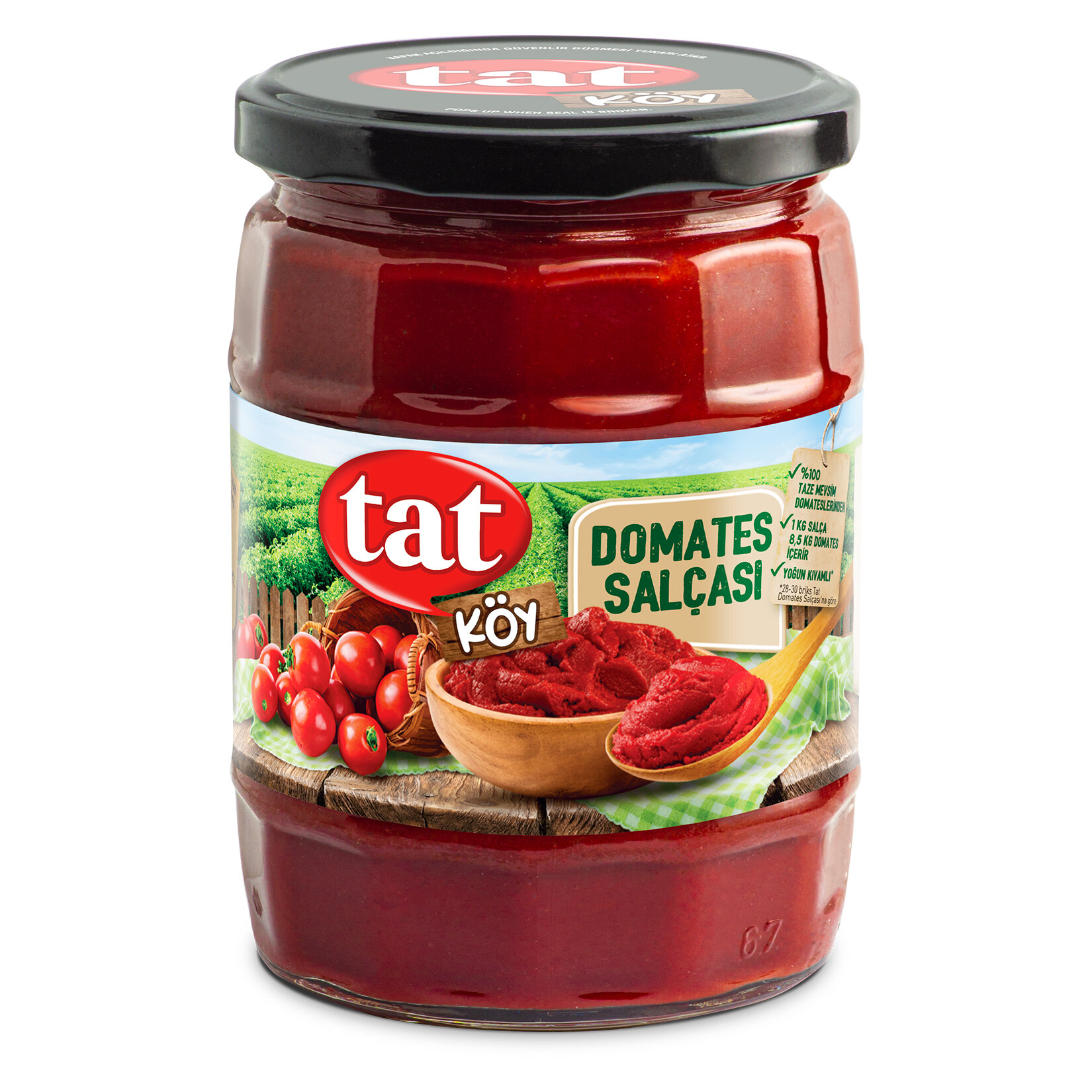 Tat Köy Domates Salçası 560 G