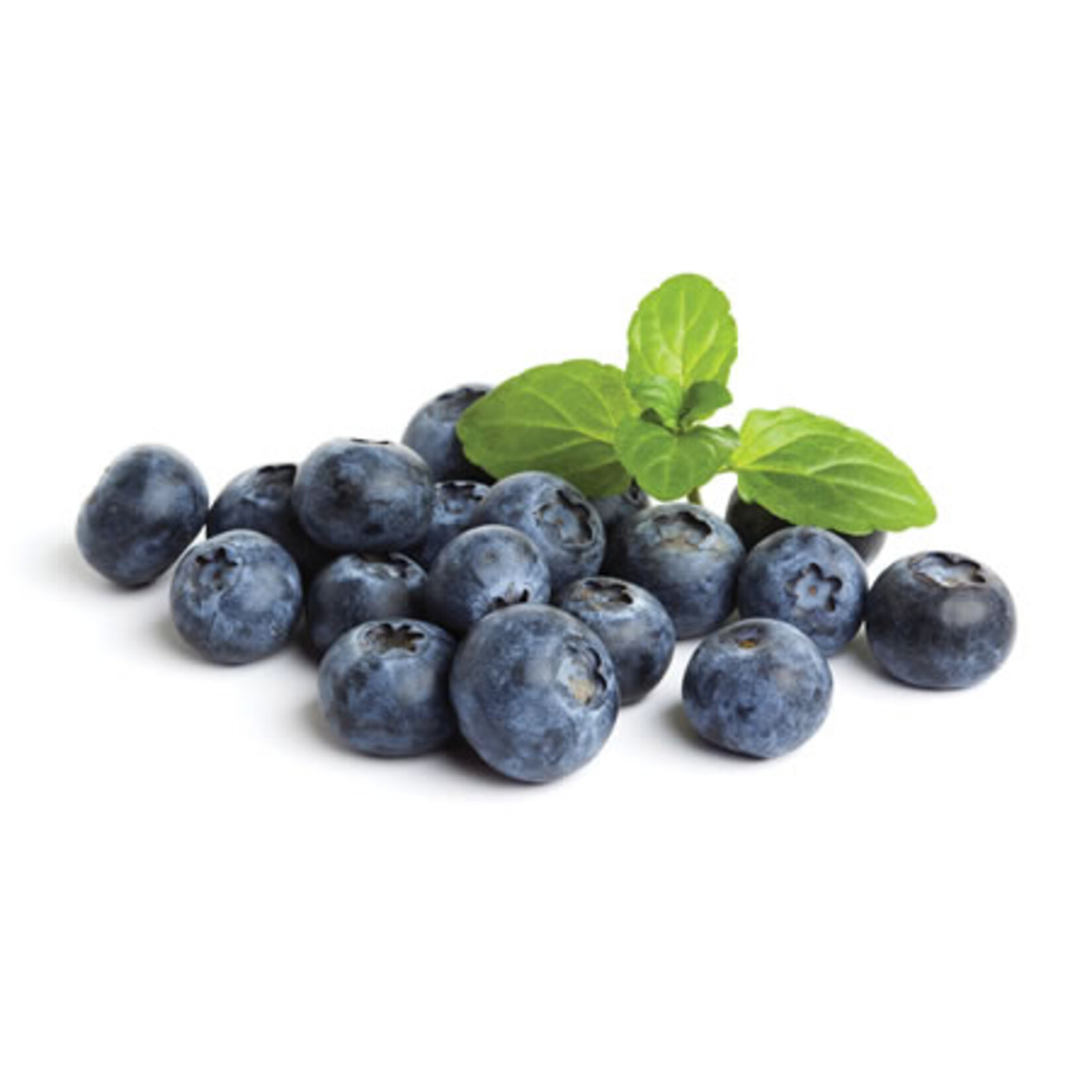 Excelente Blueberry 125 Gr