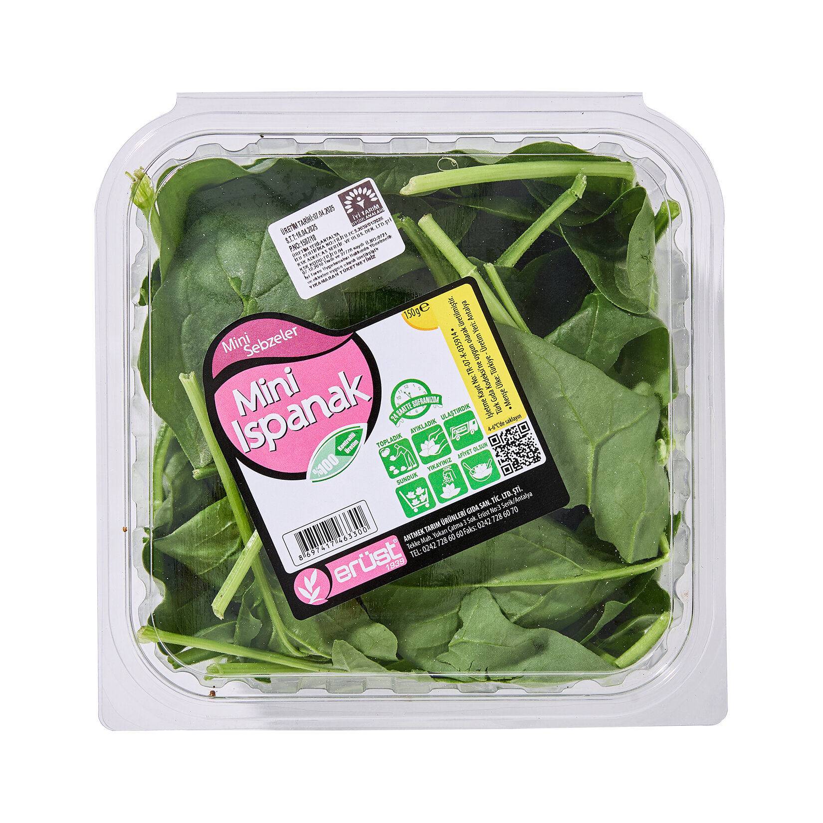 Erüst Ispanak Mini 150 G