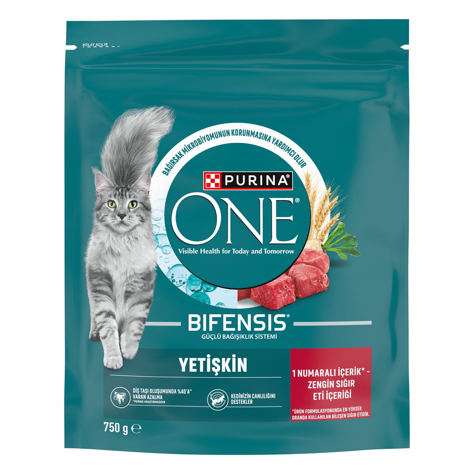 Purina One Sığır Etli Yetişkin Kuru Kedi Maması 750 G