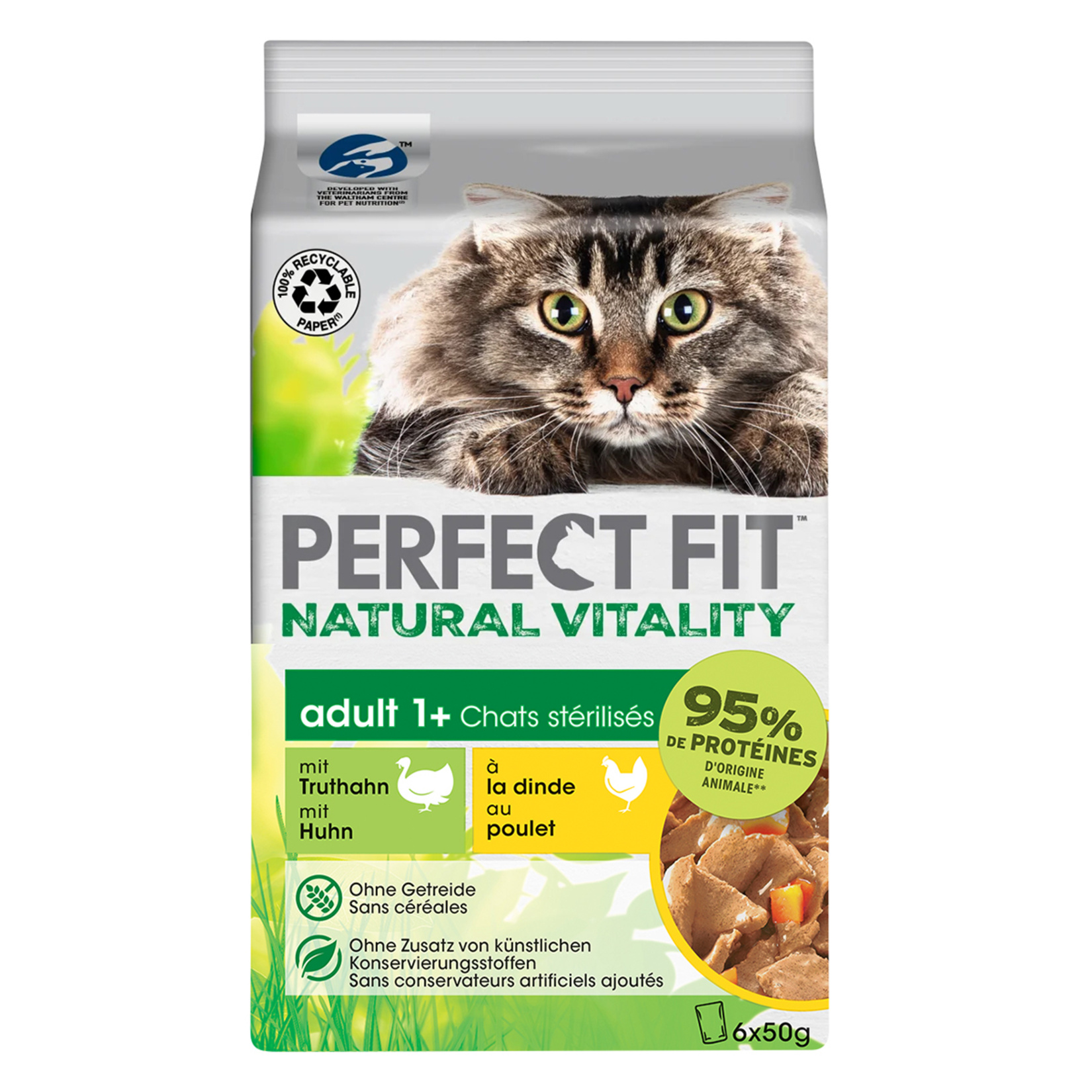 Perfect Fit Yetişkin Mini Yaş Mama Hindi Tavuk 6x50 G
