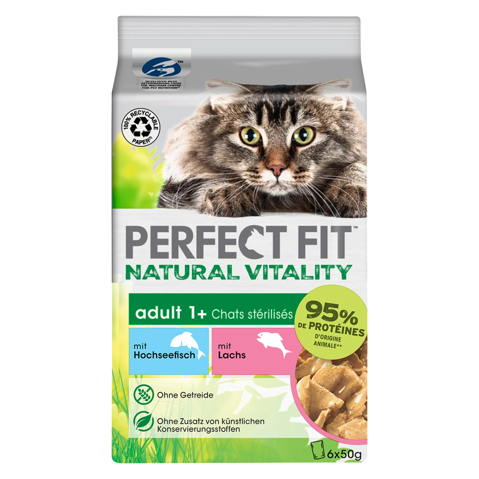 Perfect Fit Yetişkin Mini Yaş Mama Balık - Somon 6x50 G