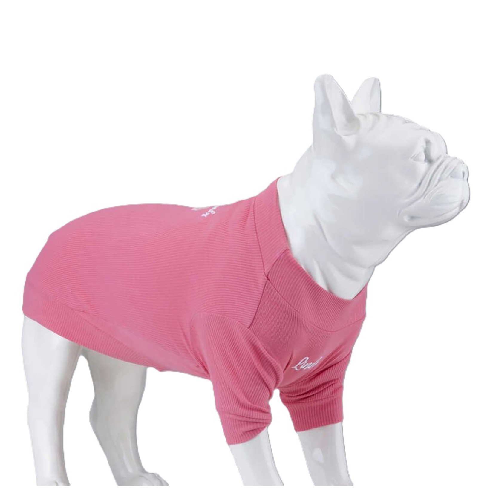 Flex Cotton Candy Küçük & Orta Irk Köpek Tshirt 2