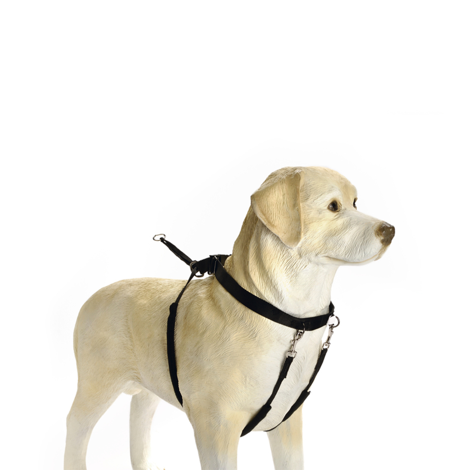 Beeztees Köpek Yürüyüş Eğitim Düzeltme Tasması S
