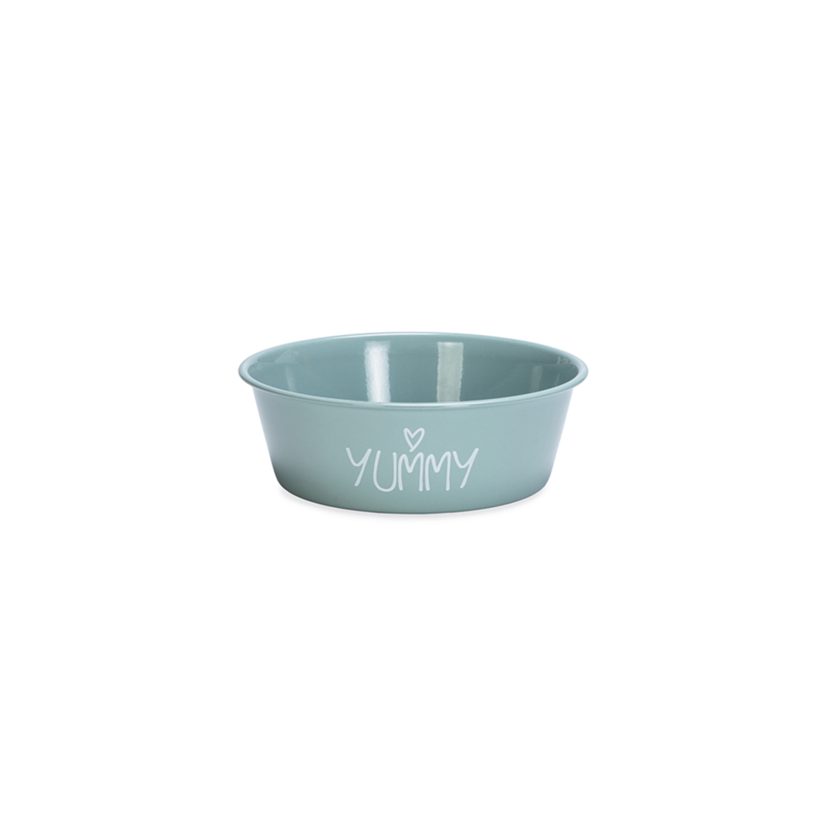 Beeztees Yavru Köpek Mama Su Kabı Turkuaz 13Cm