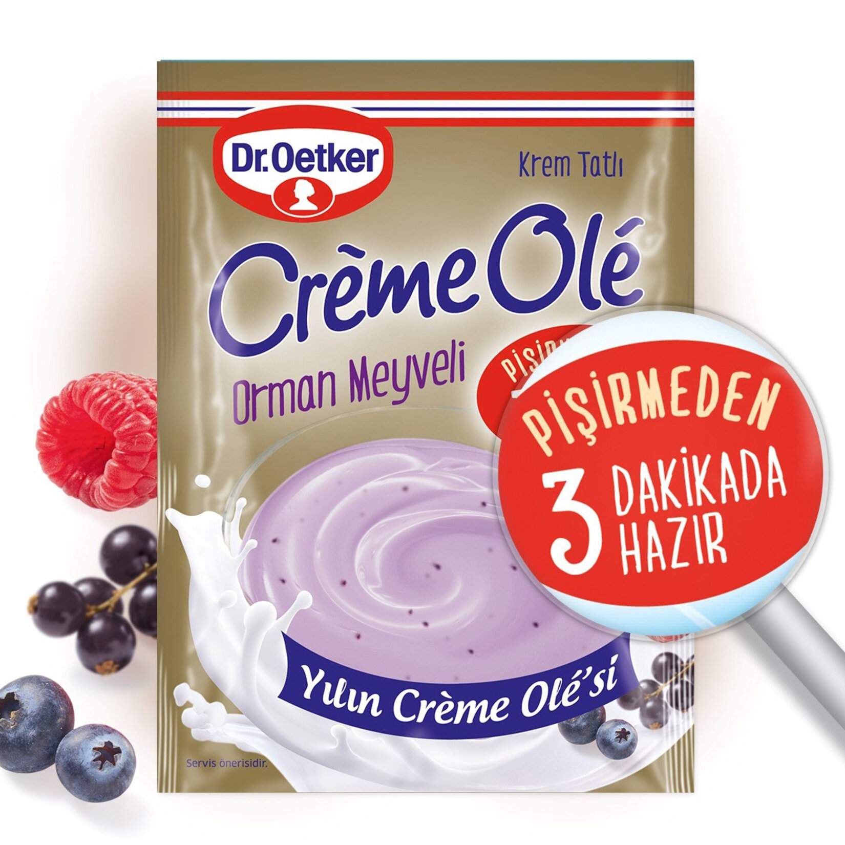 Dr.Oetker Orman Meyveli Creme Ole 89 G