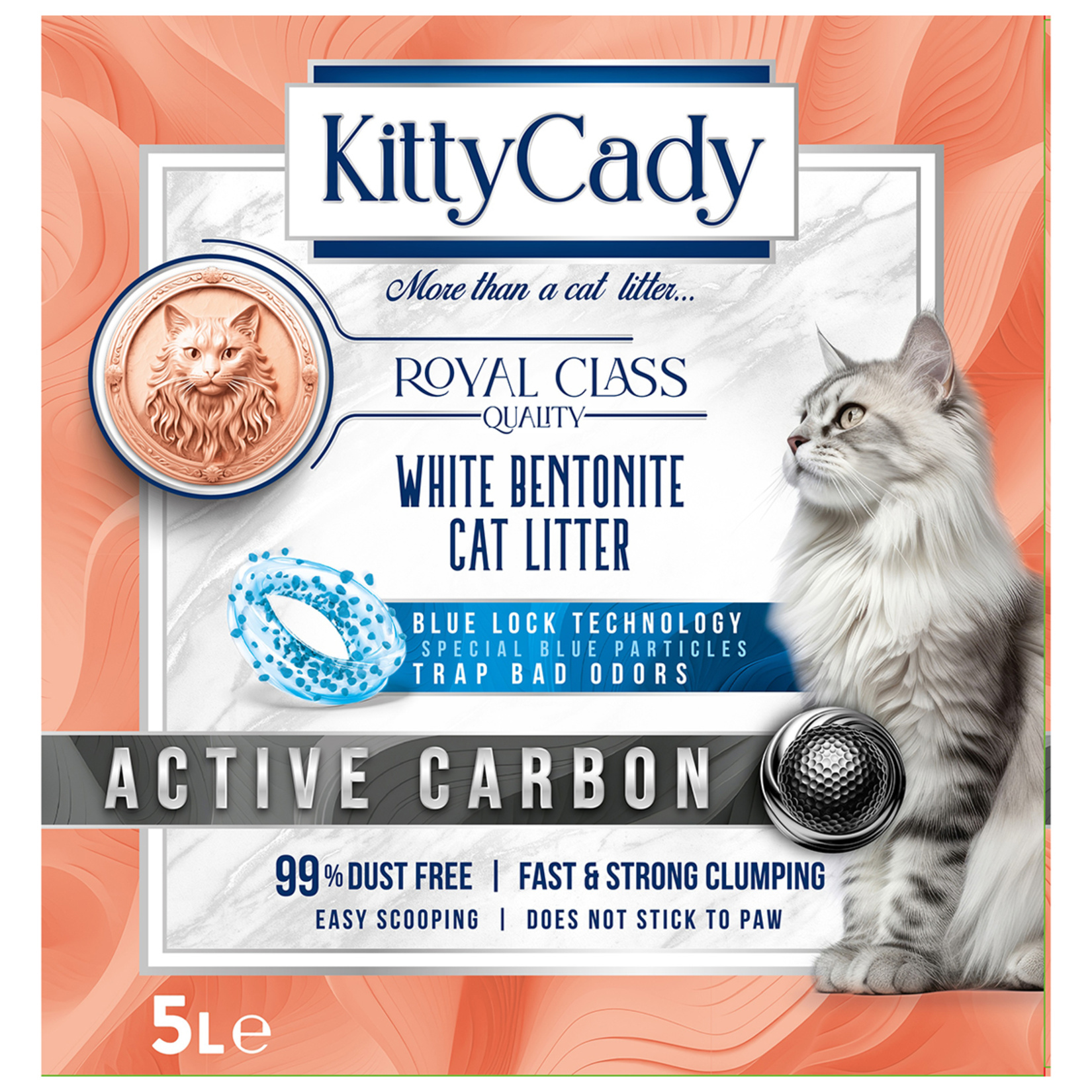 Kitty Cady Active Carbon Kedi Kumu 5 L
