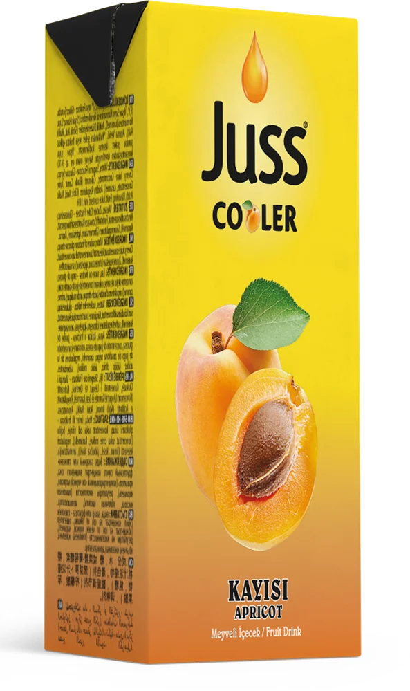 Juss Cooler Meyve Suyu Kayısı 200 ml 27'li