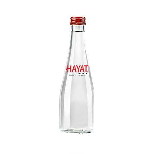 Hayat 330 Ml Su Cam