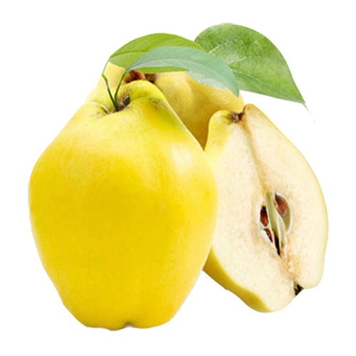 Ayva