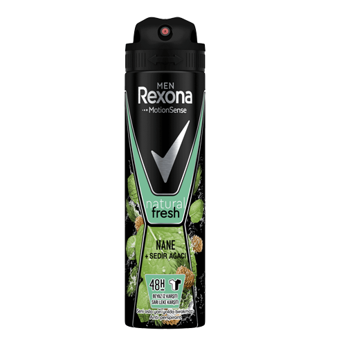Rexona Deo Erkek Mınt Fresh 150 Ml