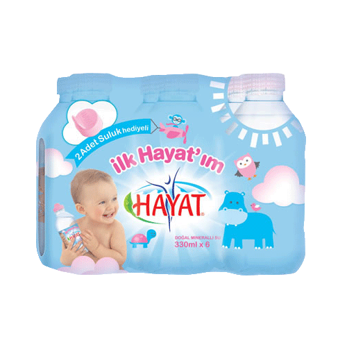 Hayat Bebe Suyu Pet Şişe 6x330 ml