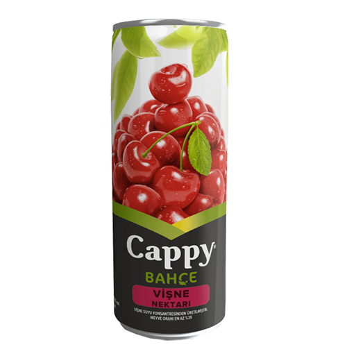 Cappy 330 Ml M.Suyu Vişne Kutu