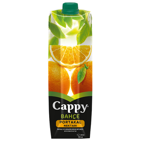 Cappy Meyve Suyu Portakal 1 lt