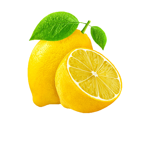Limon Mayer kg