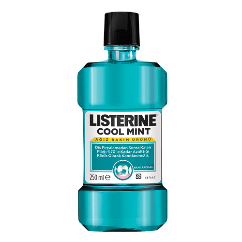 Listerine Gargara Cool Mint Nane 250 ml