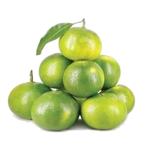 Mandalına Kg