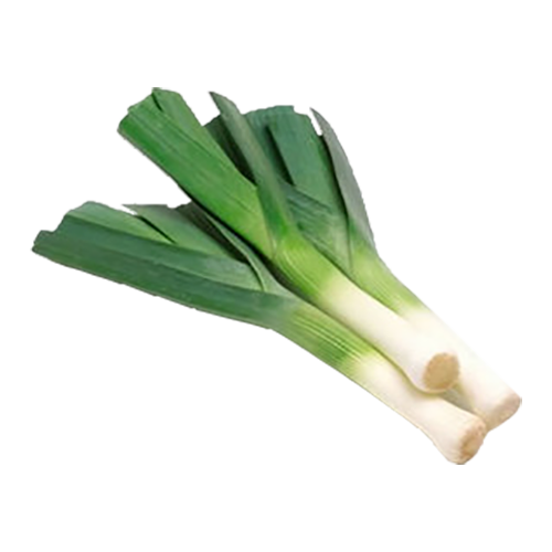 Pırasa