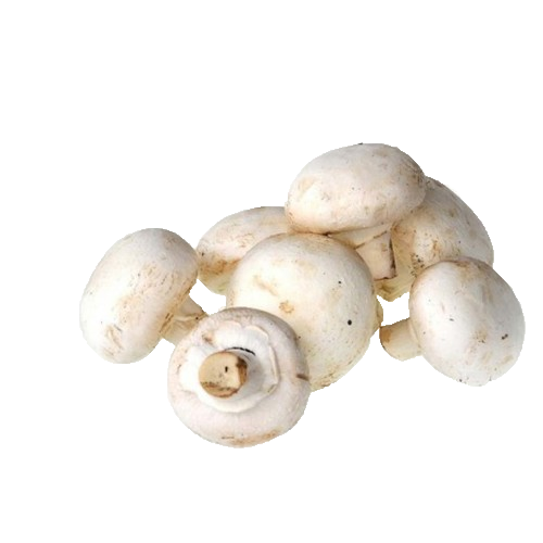KULTUR MANTAR 400 GR
