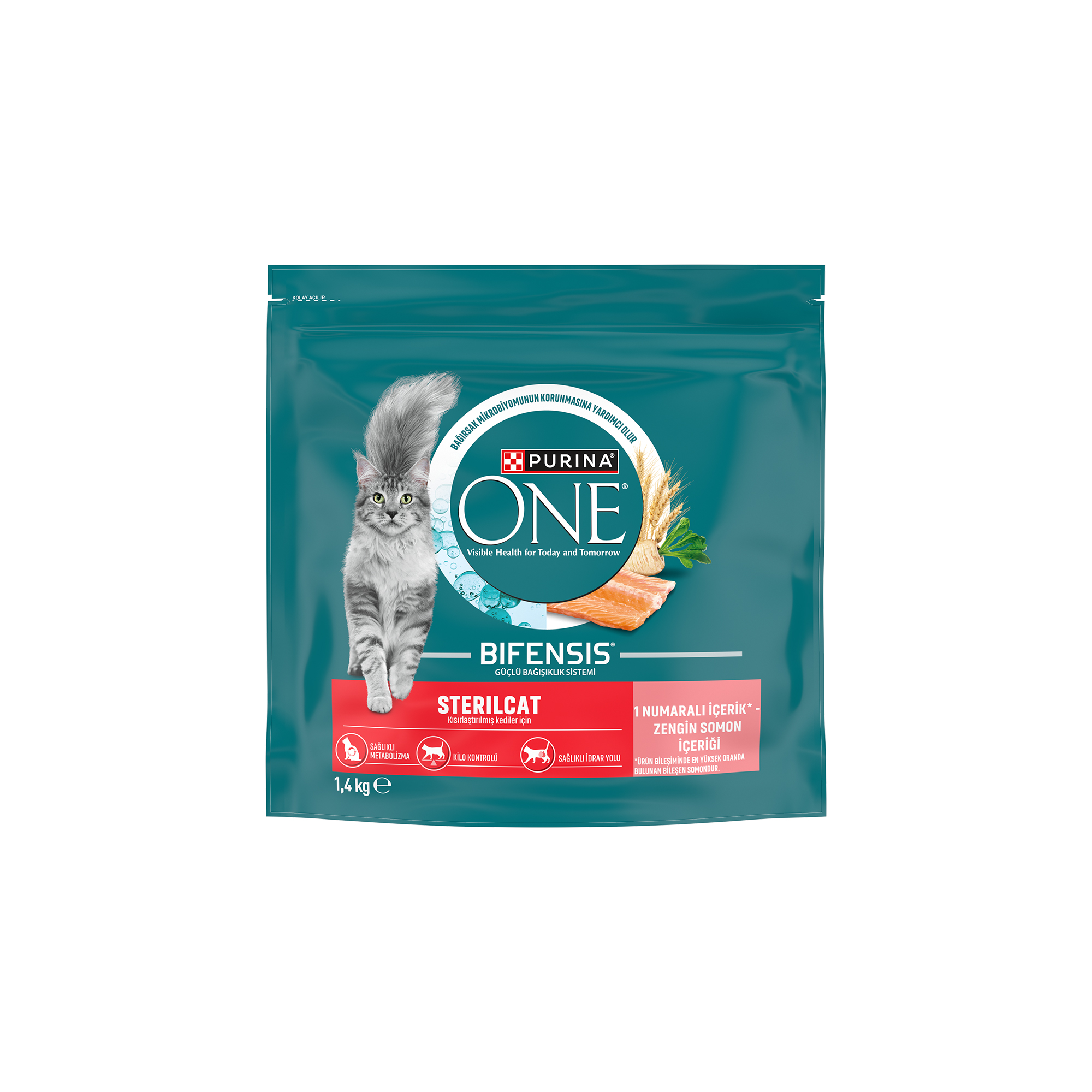 Purina ONE Somonlu Kısırlaştırılmış Kedi Maması