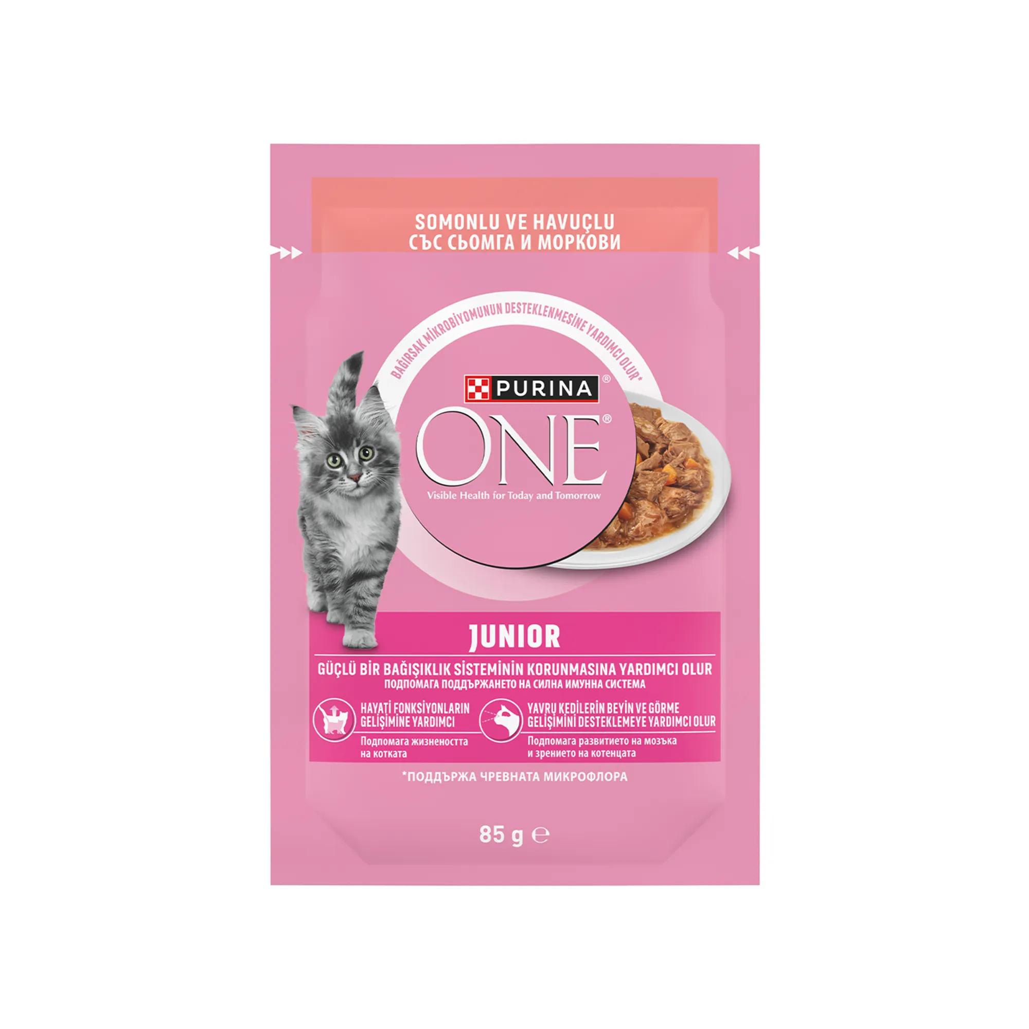 Purina ONE Junior Somonlu Yavru Yaş Kedi Maması