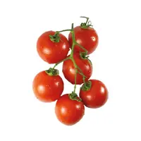Domates Salkım 500 Gr