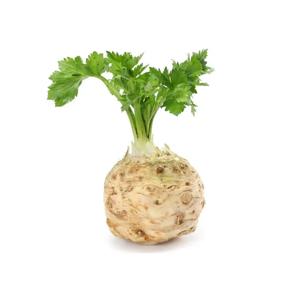 Kereviz Kg