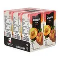Cappy Şeftali 6X200 ml