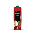 Cappy Gold %100 Elma Suyu 1 Litre